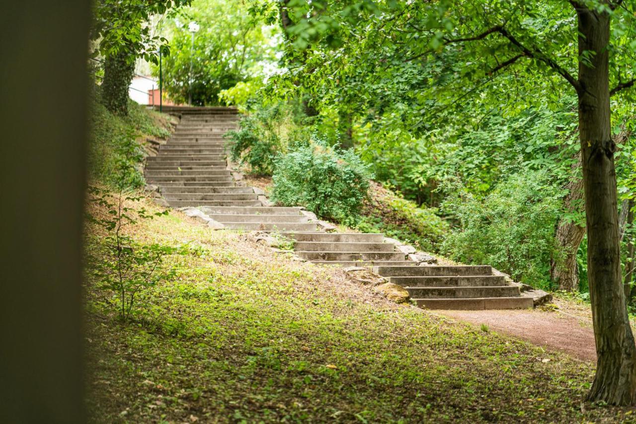 Dreibrunnen Gastehaus Im Luisenpark Ξενοδοχείο Ερφούρτη Εξωτερικό φωτογραφία